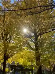 葛原岡神社(神奈川県)