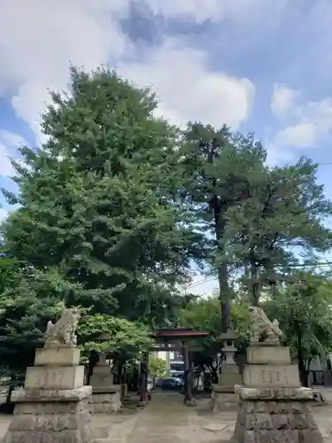 松が丘北野神社の狛犬