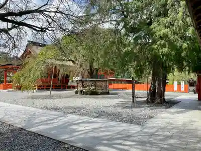 富士山本宮浅間大社(静岡県)