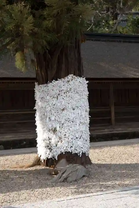 出雲大社(島根県)