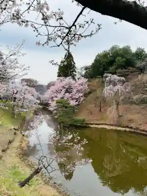 眞田神社の{uncategorized: "未分類", other: "その他", undefined: "問題あり", building: "その他建物", grave: "お墓", sacred_gate: "鳥居", guardian: "狛犬", statue: "像", buddha: "仏像", history: "歴史", nature: "自然", garden: "庭園", animal: "動物", pagoda: "塔", temizu: "手水舎", mountain_gate: "山門・神門", sanctuary: "本殿・本堂", subordinate: "末社・摂社", art: "芸術", scenery: "景色", jizo: "地蔵", ema: "絵馬", goshuin: "御朱印", omikuji: "おみくじ", items: "授与品その他", amulet: "お守り", goshuincho: "御朱印帳", eats: "食事", festival: "お祭り", votive_dance: "神楽", shichigosan: "七五三参", wedding: "結婚式", experience: "体験その他", initially: "初詣", around: "周辺", anti_infection: "感染症対策"}