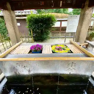 上野東照宮の手水舎