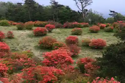 高柴山神社の周辺