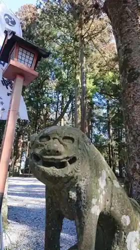 間々田八幡宮の狛犬