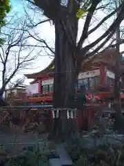 秩父神社の自然