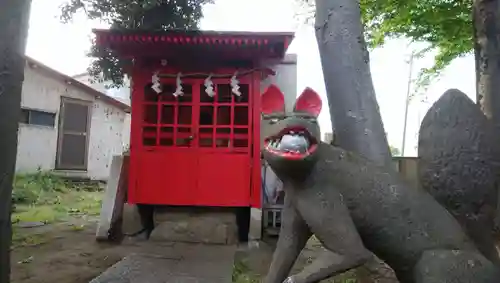 今井神社の狛犬