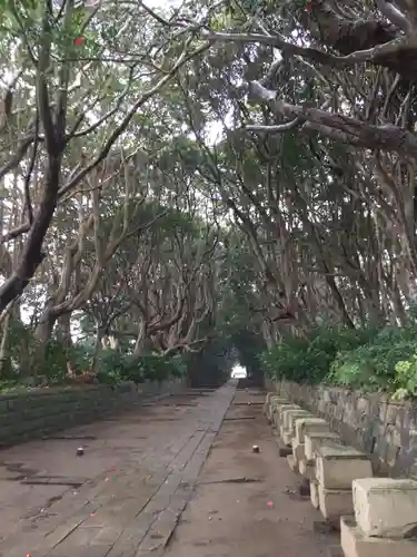 酒列磯前神社の自然