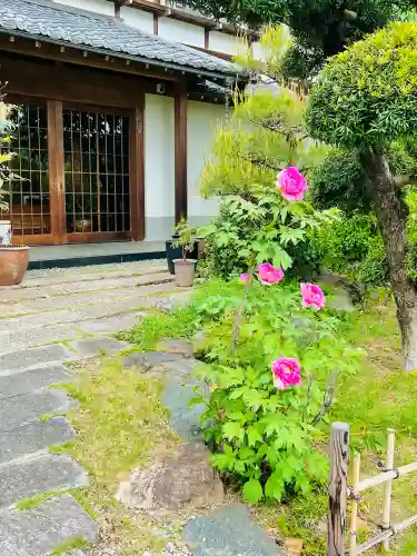浄林寺の{uncategorized: "未分類", other: "その他", undefined: "問題あり", building: "その他建物", grave: "お墓", sacred_gate: "鳥居", guardian: "狛犬", statue: "像", buddha: "仏像", history: "歴史", nature: "自然", garden: "庭園", animal: "動物", pagoda: "塔", temizu: "手水舎", mountain_gate: "山門・神門", sanctuary: "本殿・本堂", subordinate: "末社・摂社", art: "芸術", scenery: "景色", jizo: "地蔵", ema: "絵馬", goshuin: "御朱印", omikuji: "おみくじ", items: "授与品その他", amulet: "お守り", goshuincho: "御朱印帳", eats: "食事", festival: "お祭り", votive_dance: "神楽", shichigosan: "七五三参", wedding: "結婚式", experience: "体験その他", initially: "初詣", around: "周辺", anti_infection: "感染症対策"}