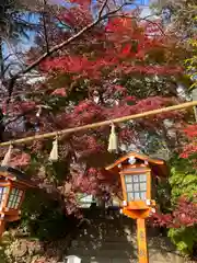 新倉富士浅間神社(山梨県)