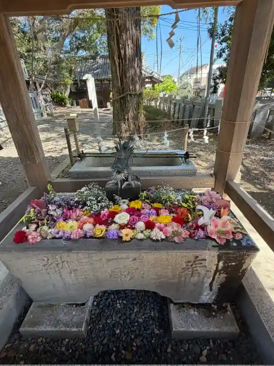 玉前神社の{uncategorized: "未分類", other: "その他", undefined: "問題あり", building: "その他建物", grave: "お墓", sacred_gate: "鳥居", guardian: "狛犬", statue: "像", buddha: "仏像", history: "歴史", nature: "自然", garden: "庭園", animal: "動物", pagoda: "塔", temizu: "手水舎", mountain_gate: "山門・神門", sanctuary: "本殿・本堂", subordinate: "末社・摂社", art: "芸術", scenery: "景色", jizo: "地蔵", ema: "絵馬", goshuin: "御朱印", omikuji: "おみくじ", items: "授与品その他", amulet: "お守り", goshuincho: "御朱印帳", eats: "食事", festival: "お祭り", votive_dance: "神楽", shichigosan: "七五三参", wedding: "結婚式", experience: "体験その他", initially: "初詣", around: "周辺", anti_infection: "感染症対策"}