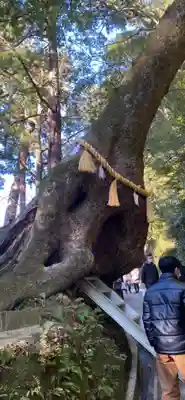 笠森寺のその他建物