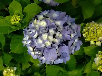 一乗寺(東京都)