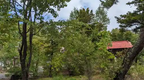 留辺蘂神社の自然