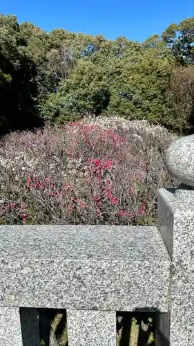 道明寺天満宮(大阪府)