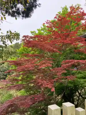 正法寺(滋賀県)