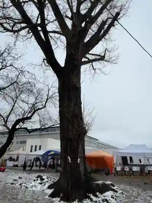 吉岡八幡神社(宮城県)
