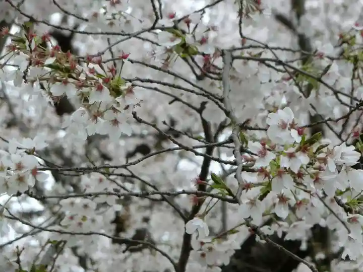 東蕗田天満社の自然