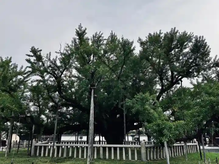 本願寺(西本願寺)(京都府)