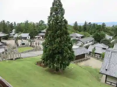 東大寺 二月堂(奈良県)