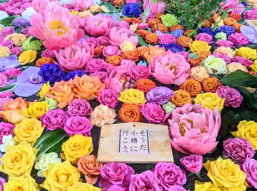 住吉神社の手水舎