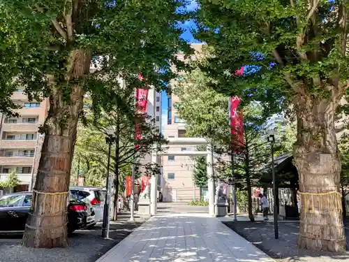 北海道神宮頓宮の自然