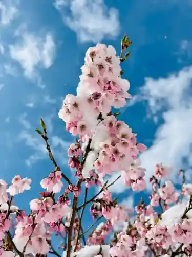 土津神社｜こどもと出世の神さまの自然