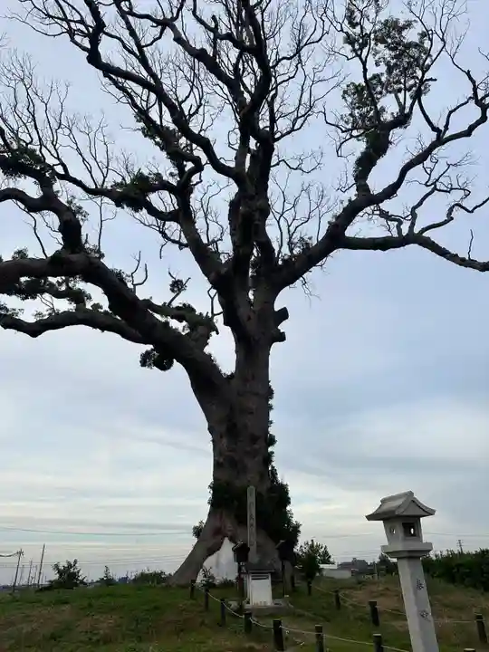 大木神社跡地(三重県)