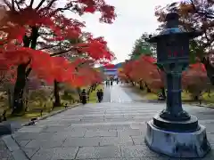 仁和寺の建物その他