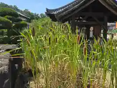 家原寺(大阪府)