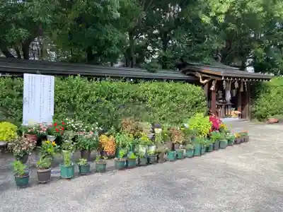 平塚八幡宮(神奈川県)