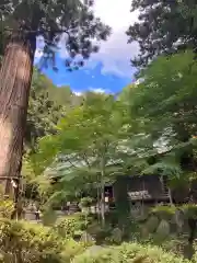 河口浅間神社(山梨県)