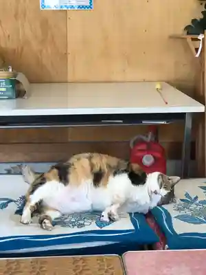 賀茂別雷神社（上賀茂神社）(京都府)