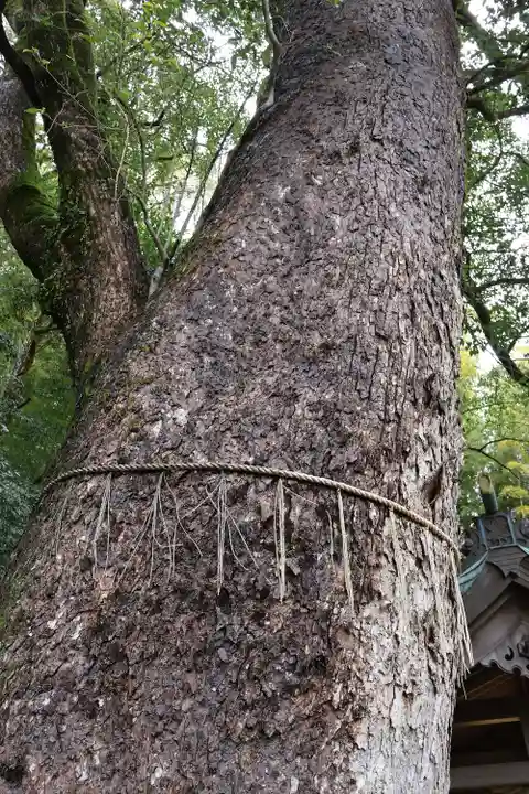 玉園稲荷神社(長崎県)