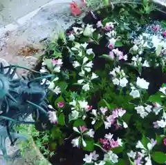 立志神社の手水