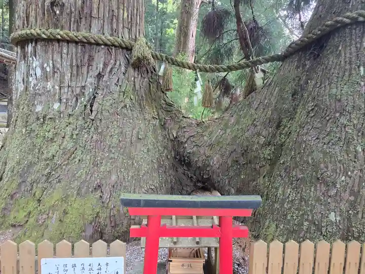 室生龍穴神社(奈良県)