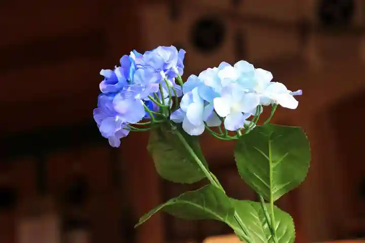 阿久津「田村神社」(郡山市阿久津町)旧社名:伊豆箱根三嶋三社の授与品その他