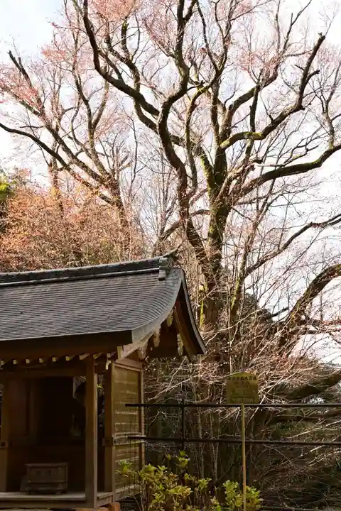 正法寺(滋賀県)