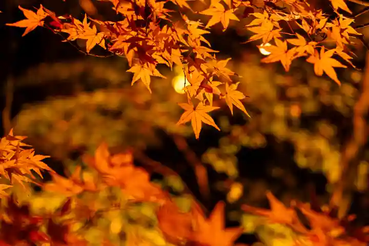 北野天満宮(京都府)
