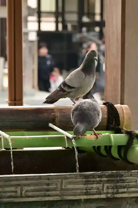 宇都宮二荒山神社(栃木県)