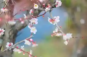 浄土寺(兵庫県)(2024年02月24日(土) 08時52分02秒投稿)