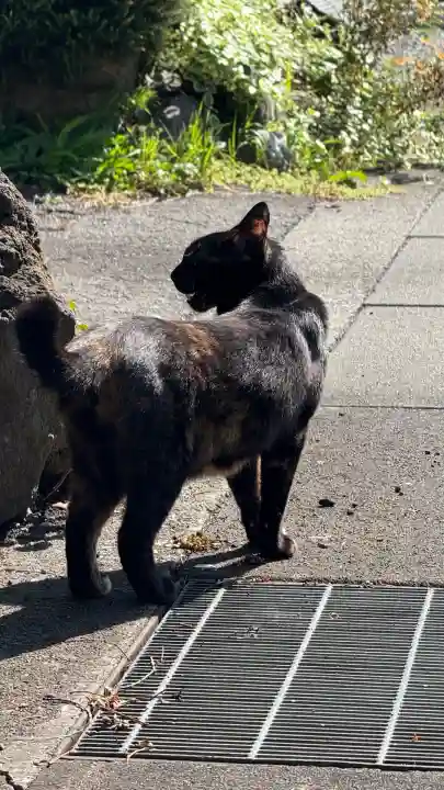 秋葉神社(北海道)