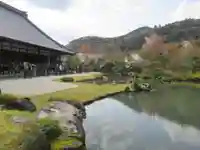 天龍寺の庭園