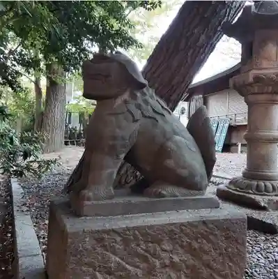 上目黒氷川神社の狛犬