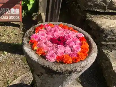 丹生都比売神社(和歌山県)