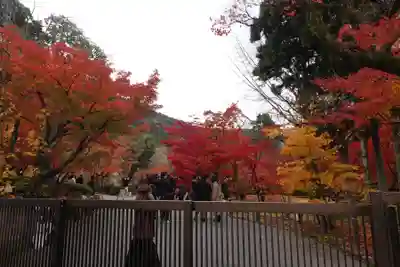 禅林寺(永観堂)(京都府)