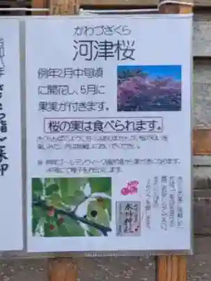 新宿下落合氷川神社(東京都)