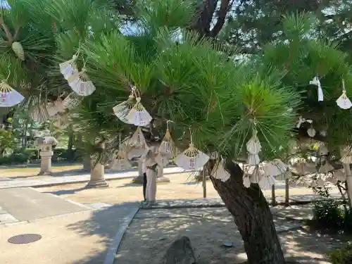 智恩寺(京都府)