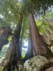 岡神社(兵庫県)