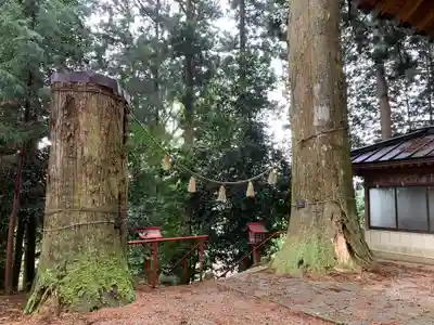箒根神社高清水遥拝殿の自然