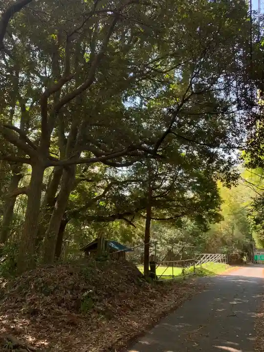 東陽寺(千葉県)